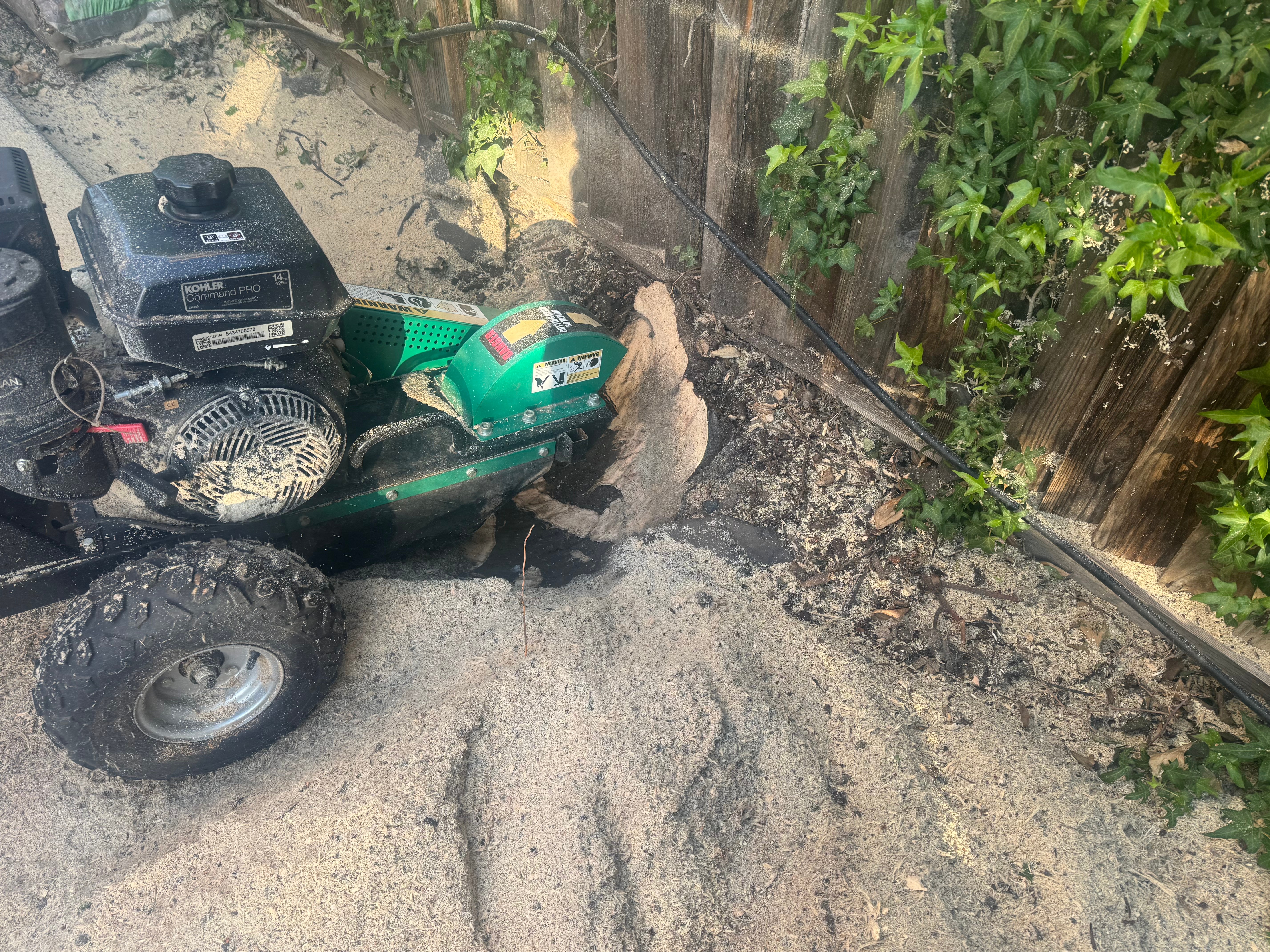 A stump grinder grinding a stump