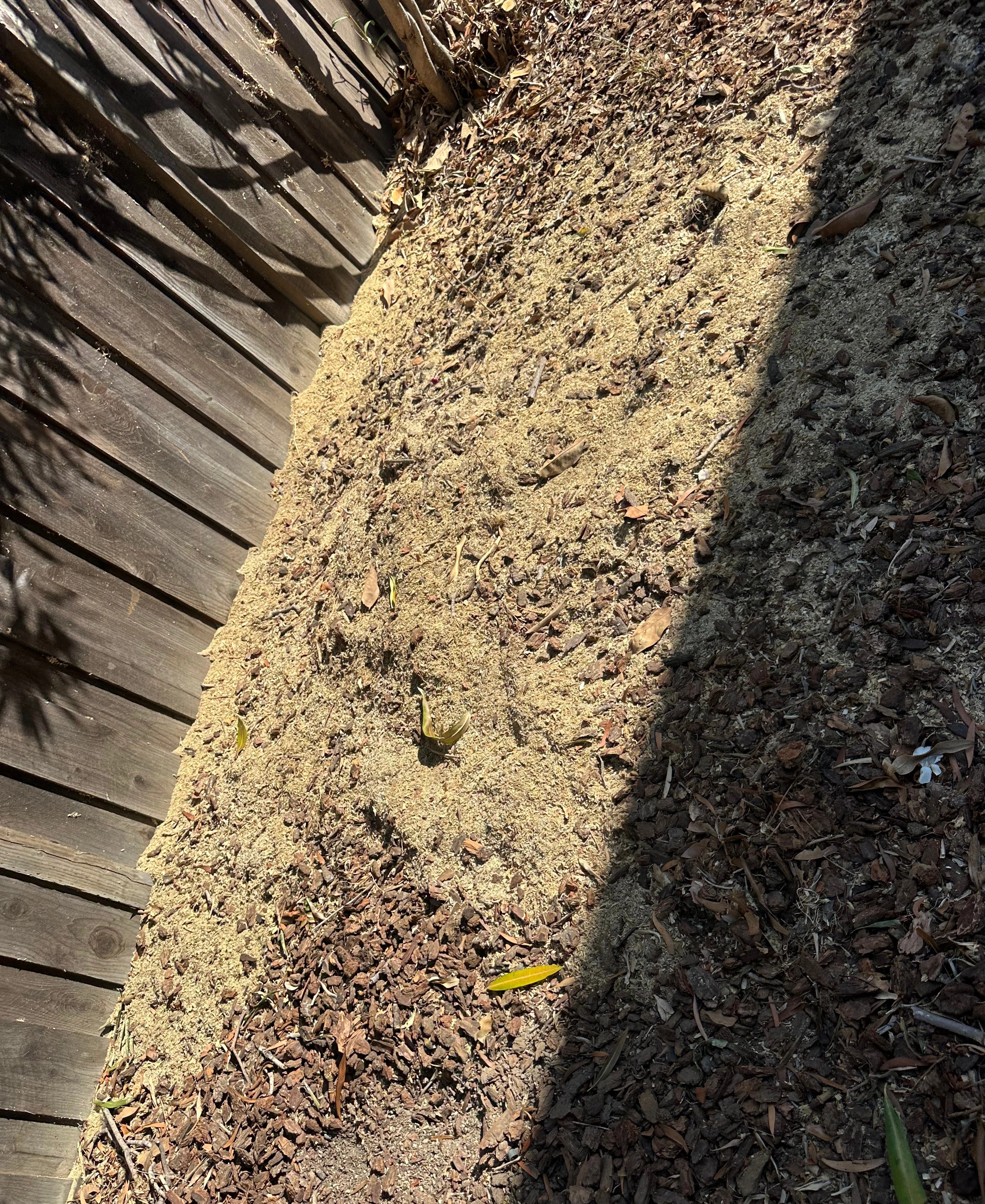 Yard After Stump Grinding