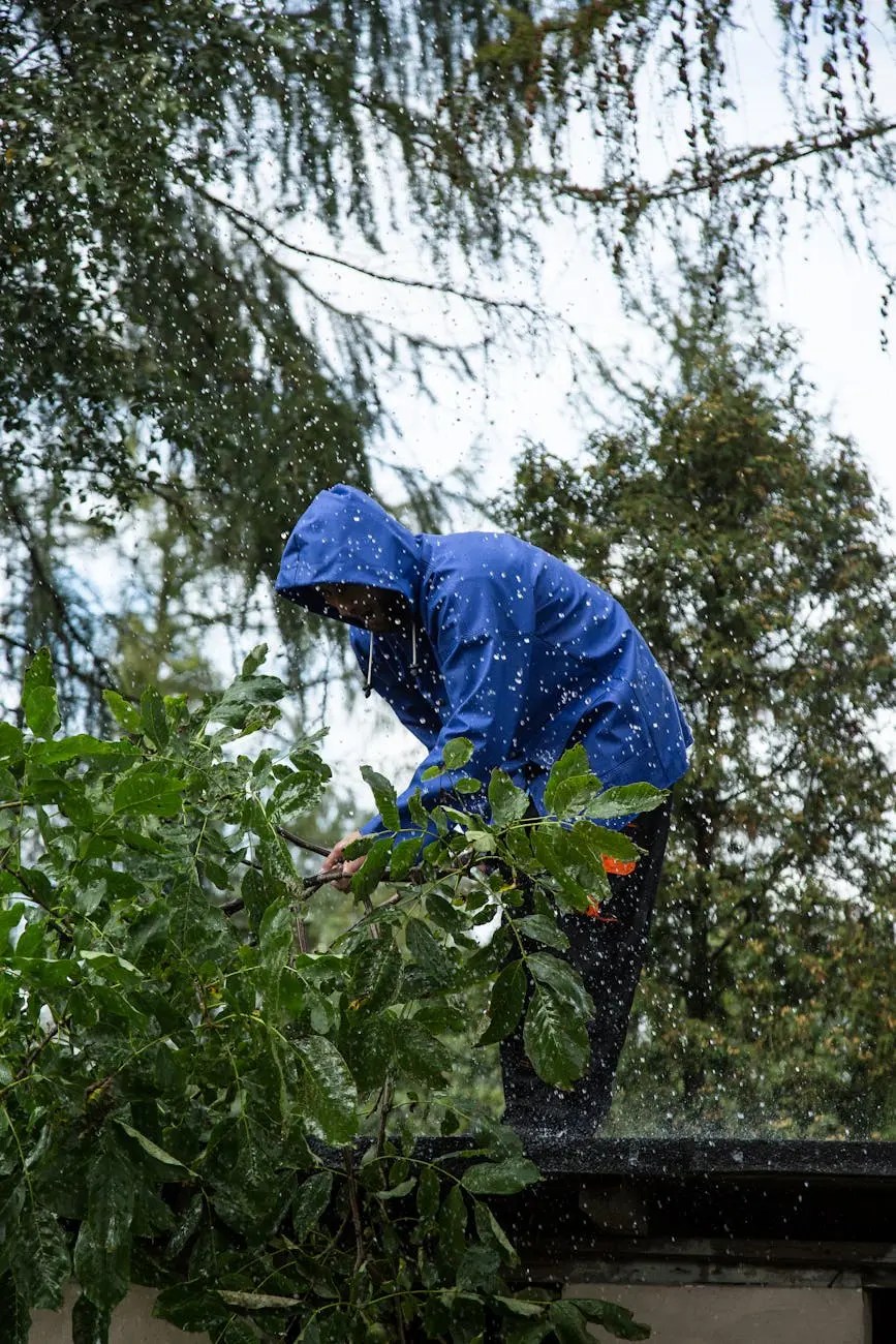 Pruning a tree near a roof