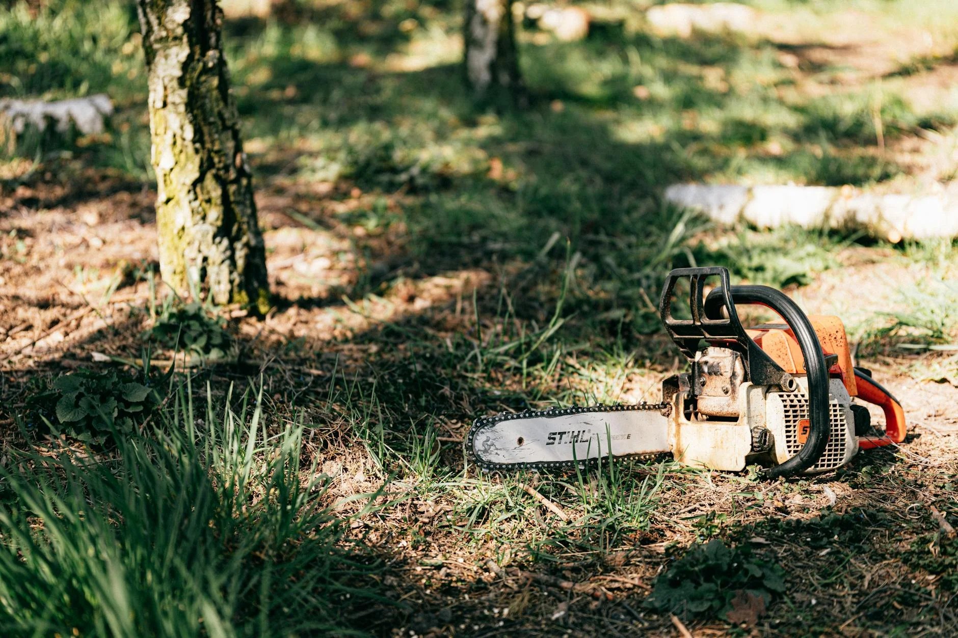 Chainsaw next to a tree
